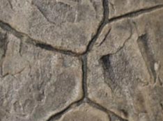 bristol brown - graphite